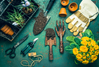 7 Tipps für einen umweltfreundlichen Garten