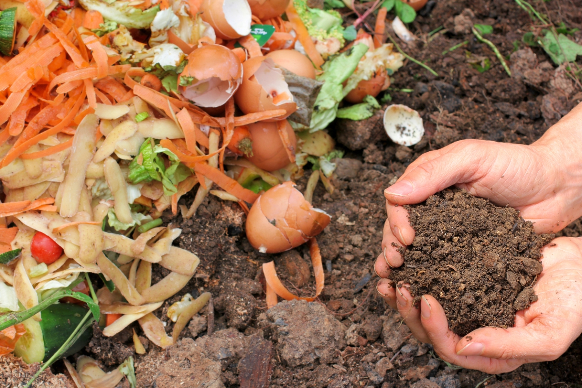reste aus lebensmittel zu kompost machen