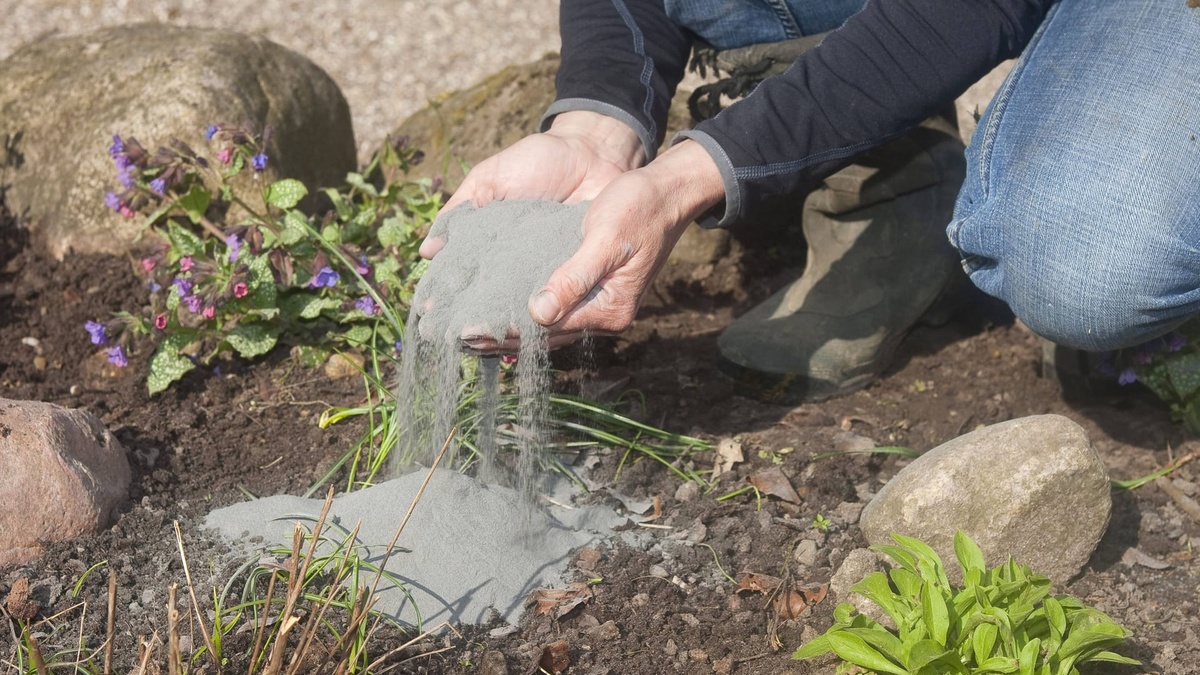 Holzasche als Biodünger für Gartenpflanzen 