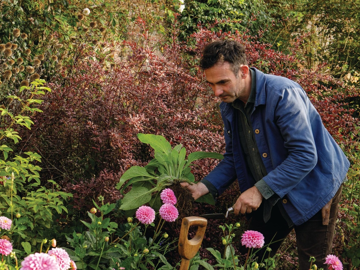 die Gartenblumen im Oktober pflegen