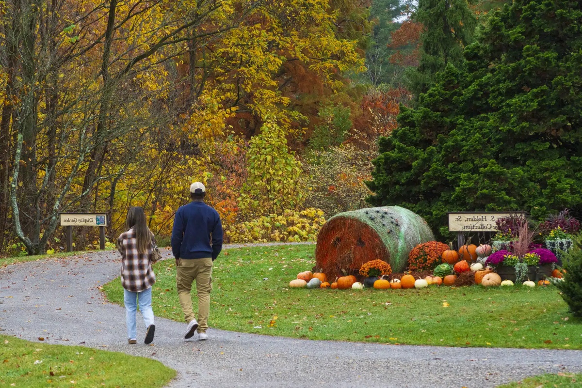 schöne Herbstdeko im Park - junge Leute gehen spazieren