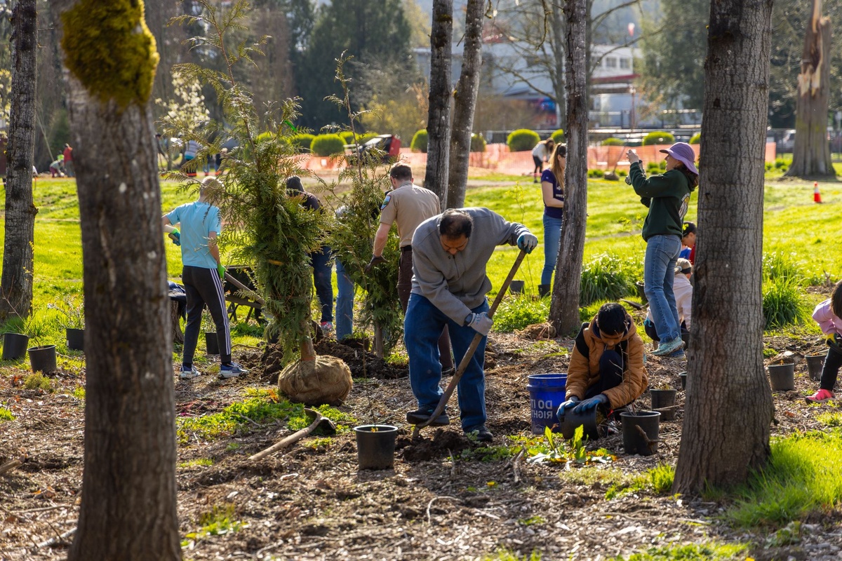 Leute pflanzen Gehölze - Gartenarbeit im Oktober