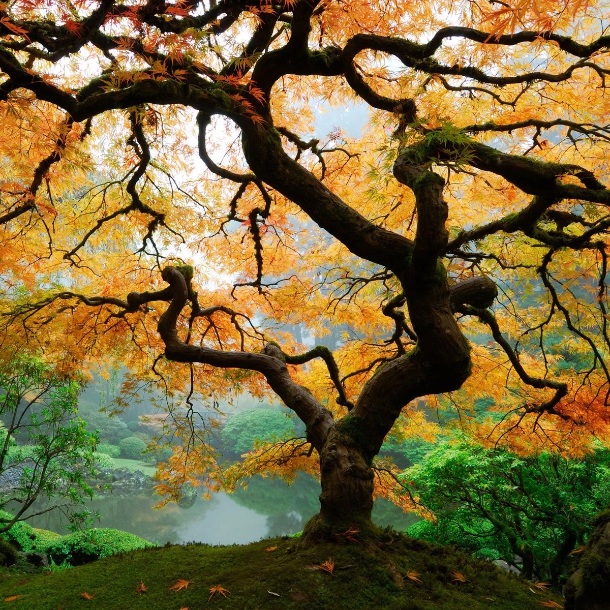 die Gartenarbeit im Oktober ist intensiv 