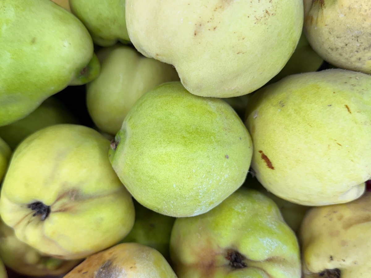 grüne Quitten sind aromatisch und gesund