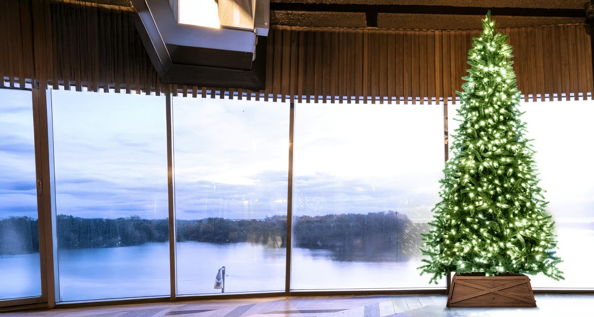 minimalistische Weihnachtsdeko drinnen- kleiner Tannenbaum am Fenster