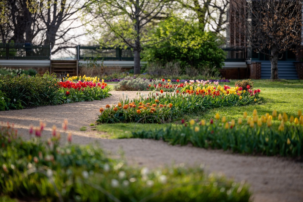 schöne Frühlingsblumen im Park 