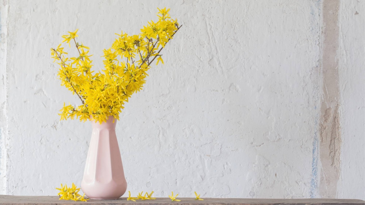 hellrosa Vase vor einer leeren Wand mit Forsythien gefüllt